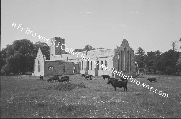 ARDFERT FRIARY SCENES